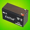 Sealed Lead-acid Battery Pack