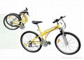 Folding Bicycle 1