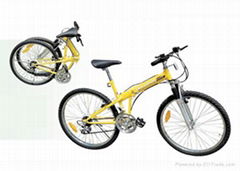 Folding Bicycle