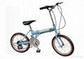 Folding Bicycle 1