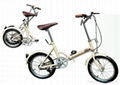 Folding Bicycle 1