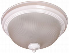 Ceiling Fixtures