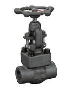 Globe Valve