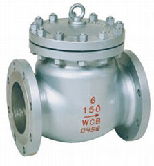 Check Valve