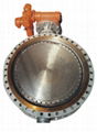 Butterfly Valve 1