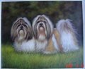 good quality oil paintings--pet 5
