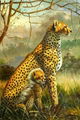 high quality oil paintings-animals 2