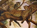 high quality oil paintings-animals 4