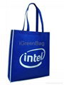 PP Non-Woven Shopping Bag 3