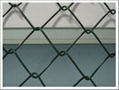 Galvanized Chain Link Fence 1