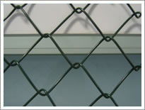 Galvanized Chain Link Fence