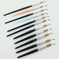 Acrylic Nail Brush, Available in