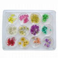 Nail Art Mini Bead, Available in Different Size and Colors 1