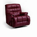 Leisure Chair (TA-9012) 1