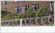 razor type barbed wire