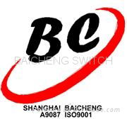 Shanghai Baicheng Electric Equipment Manufacture Co., Ltd