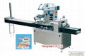 DZB-250E Multipurpose Automatic Packaging Machine 1