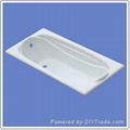 Sea Lion Model Bathtub 1