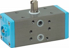 pneumatic actuator