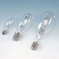 metal halide lamp