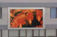 Indoor and Outdoor LED Display