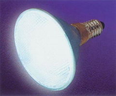 LED Lamp