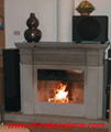 Fireplace 1