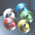 PRE-PAINTED GALVANIZED STEEL COILS/STRIPS
