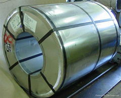 HOT DIPPED GALVANIZED STEEL SHEET IN COILS