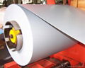 ELECTRO-GALVANIZED STEEL SHEET IN COILS 1