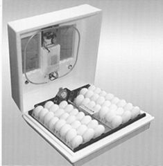 Incubator