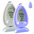 Weather Station,Thermometer And