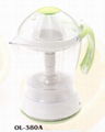 Large Capacity Juicer 1