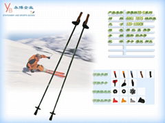 ski poles