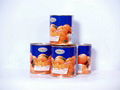 canned mandarin orange 1