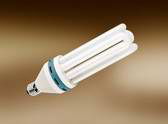 φ12 4u energy saving lamp