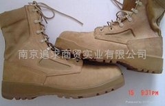 The new style military desert boots