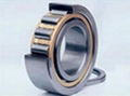 cylindrical roller bearing 1