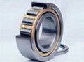 cylindrical roller bearing