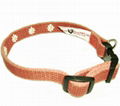 pet collar