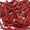 ChaoTian Dried Red Chilli 1