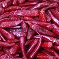 ChaoTian Dried Red Chilli 3