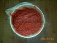 red fresh chilli paste 1