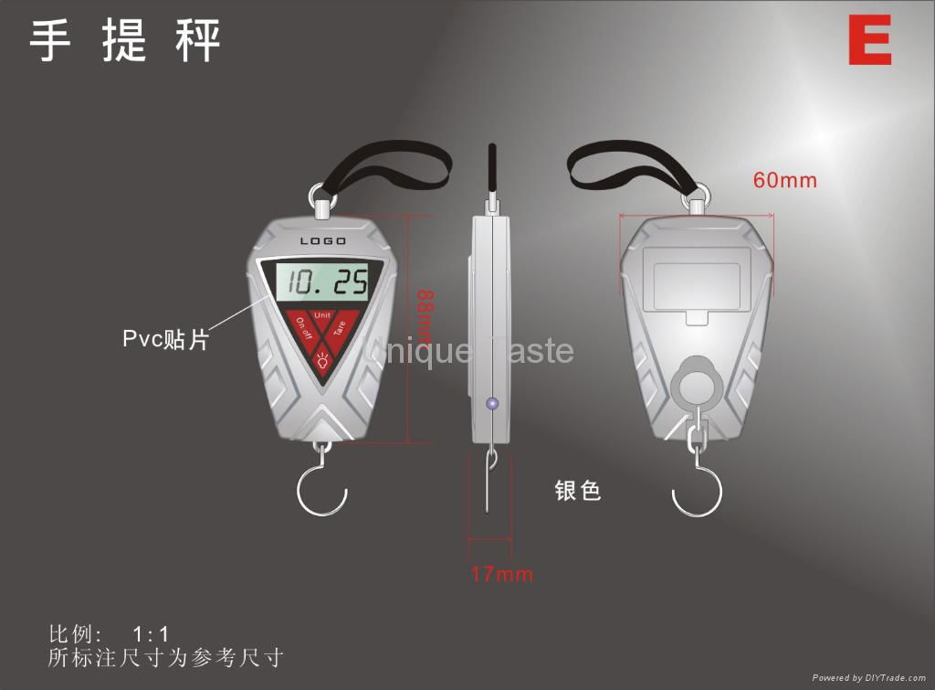 Hanging Scale