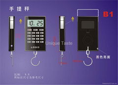 Price counting scale