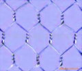 hexagonal wire mesh