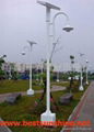 Solar Street Light 3