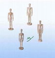 wooden manikin (MY90-1003)- stationery manikin 1