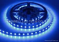 LED Flexible Strip Light--8mm-code: Flex100-A series 5