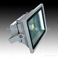 LED floodlight 30w with USA bridge lux chips + MEANWELL ballast 2